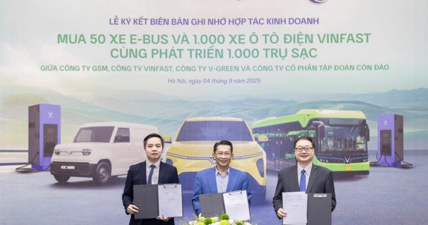 1 công ty hợp tác cùng lúc với 3 doanh nghiệp t...