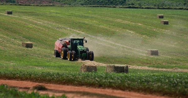 Những cỗ “siêu máy” trên cánh đồng nguyên liệu 8.100 ha của TH true MILK