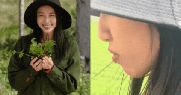 Hé lộ kịch bản tinh vi vụ Hoa hậu Thuỳ Tiên quay clip quảng cáo kẹo Kera