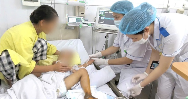 Bé trai 4 tuổi nhập viện trong tình trạng bệnh nặng do bị mèo cắn, bác sĩ nhấn mạnh tuyệt đối không làm 1 điều