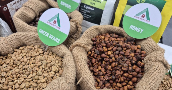 Giá cà phê hôm nay 1-1: Cao nhất 10 ngày qua