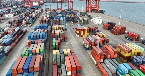 Tin mới nhất về gần 500 container chè Việt Nam ách tắc tại Pakistan