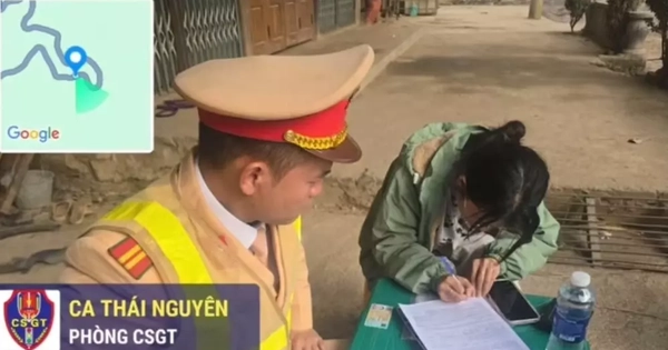 Xử phạt nữ TikToker dừng xe tải giữa đường để tranh cãi với tài xế khác