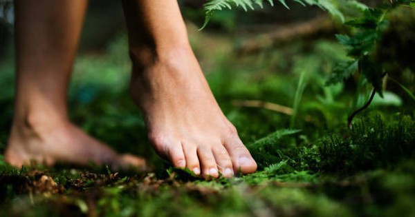 Mỗi sáng chỉ cần ra bãi cỏ làm việc “miễn phí” này, vừa ngủ ngon lại giảm stress cực rõ, duy trì lâu dài còn sống thọ hơn