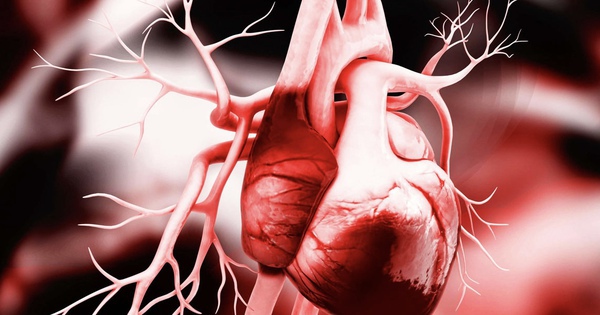 CẢNH BÁO: Không đau ngực vẫn có thể nhồi máu cơ tim, ngưng thở khi ngủ - 6 dấu hiệu dễ bị bỏ qua nhất