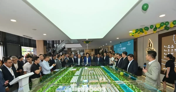 Diễn biến lạ trên thị trường đất nền