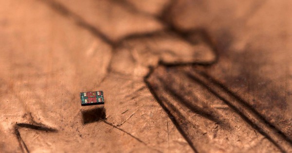 Robot siêu nhỏ biết bơi, tự suy nghĩ và hành động