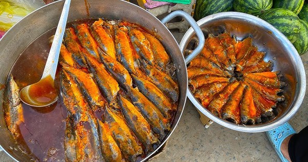 Chuyên gia Mỹ tiết lộ loại cá tốt nhất thế giới, HƠN CÁ HỒI nhưng giá cực rẻ: Việt Nam rất sẵn!