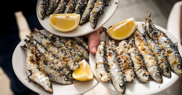 Loài cá được khen "tốt nhất thế giới": Chợ Việt bán chỉ 30.000đ/kg, quanh năm sẵn hàng