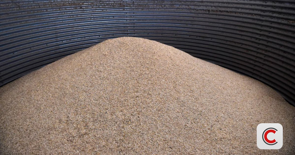 Nhiều quốc gia ráo riết dự trữ ngũ cốc, đổ hàng chục tỷ USD xây kho tích trữ lương thực