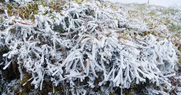 Tin gió mùa đông bắc mới nhất: Bao giờ miền Bắc chuyển mưa rét đến 6 độ C?