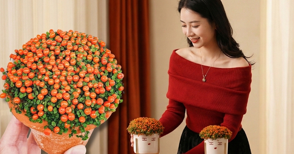 "Bảo bối" phong thủy mới cho Tết Bính Ngọ 2026: Tên nghe sang chảnh, bé xíu xiu mà hút lộc cả năm