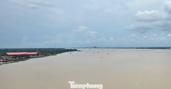 Xâm nhập mặn đe dọa ĐBSCL ra sao?