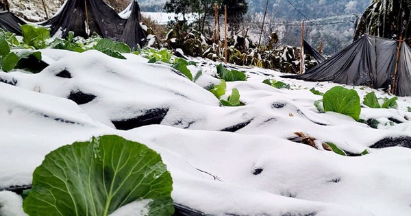 Không phải người cao tuổi, đây mới là nhóm người phải chịu rủi ro âm thầm khi trời rét đậm, rét hại