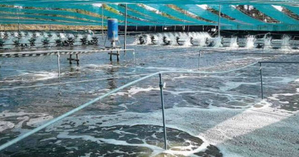 Không phải đất hiếm, Mỹ, Trung Quốc đang đua nh...