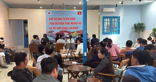 CLIP: 4 người Hàn Quốc bị phạt vì tuyển lao động trái phép ở Cần Thơ