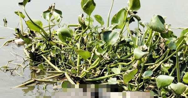 Liên tục phát hiện thi thể trôi sông ở TPHCM