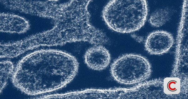 Nipah 2026: "Sát thủ" có tỷ lệ tử vong 40-75%, chưa có vaccine đặc hiệu