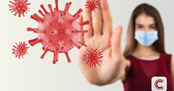 Virus Nipah trong thực phẩm hữu cơ: Những điều cần biết để tránh nhiễm bệnh