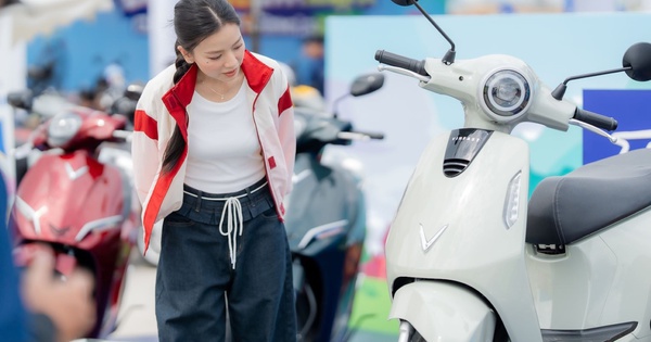 Bán hơn 406.000 xe máy điện trong một năm, VinFast chiếm ngôi đầu thị trường Việt Nam