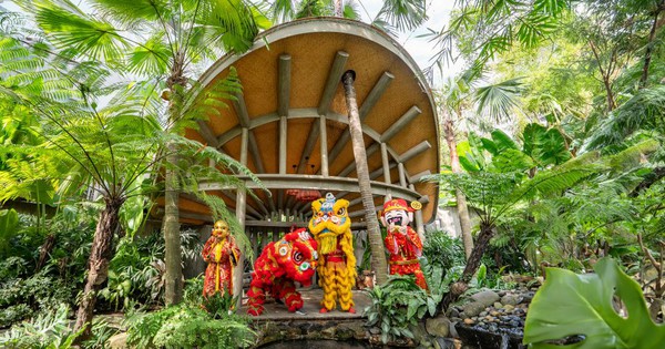 Trải nghiệm “Tết bên sông” tại An Lâm Retreats ...