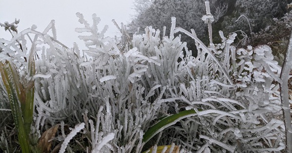Miền Bắc chìm trong rét đậm, rét hại, Mẫu Sơn lạnh sâu dưới 3 độ C