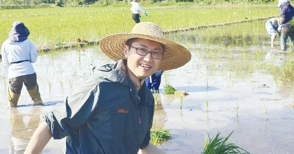 Phát minh của Trung Quốc làm rung chuyển ngành nông nghiệp, tạo ra giống có thể nhân đôi sản lượng lúa toàn cầu, tiết kiệm đến 99% chi phí tạo giống