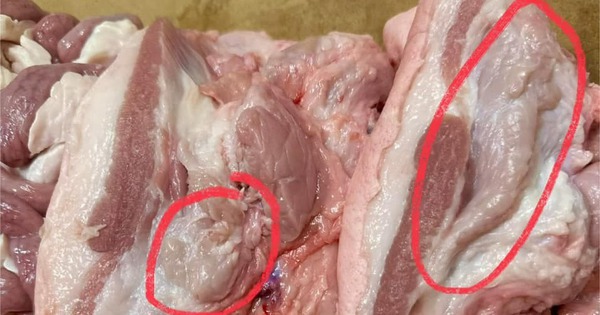 5 dấu hiệu nhận biết thịt lợn bệnh, người bán nói mấy mấy cũng dứt khoát quay xe