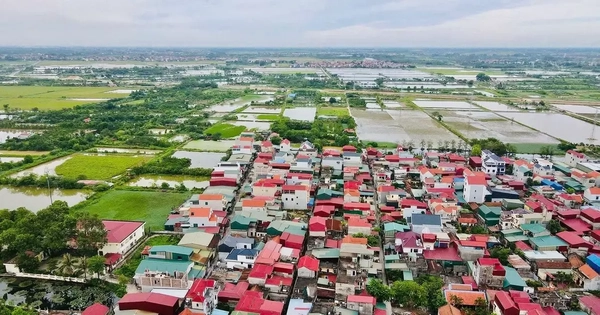 Đất đấu giá xã ngoại thành Hà Nội trúng cao nhất hơn 164 triệu đồng/m2