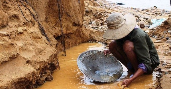 Làn Sóng Săn Vàng Bùng Nổ Trở Lại Tại Australia, Thu Hút Hàng Ngàn Người