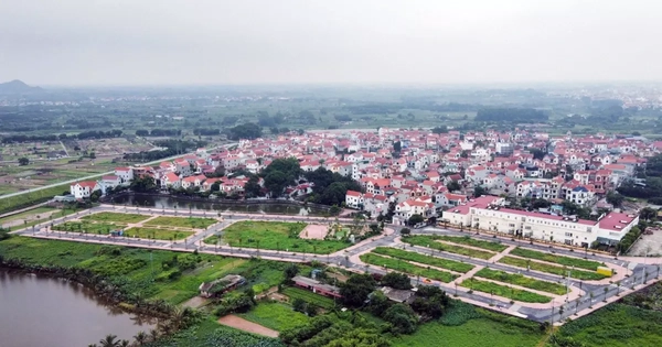 Đấu giá đất vẫn 'nóng' dù siết cọc 50%, Hà Nội ghi nhận giá trúng cao gấp 13 lần