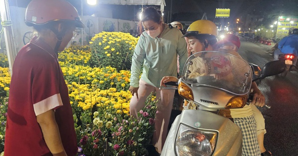 Hoa Tết giá rẻ 50.000 - 100.000 đồng/chậu cháy ...