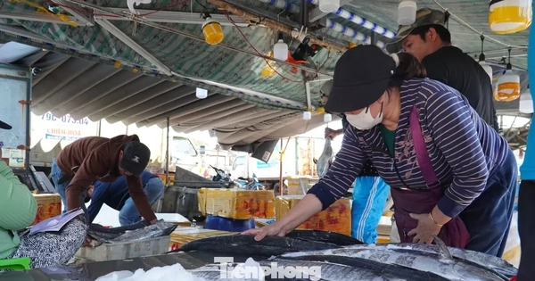 Cá Thu Cảng Thọ Quang Đà Nẵng 'Cháy Hàng' Ngày Áp Tết, Giá Tăng Gấp Đôi