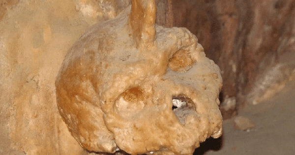 Lịch sử loài người có thể phải viết lại vì phát hiện của một người chăn cừu vào năm 1959