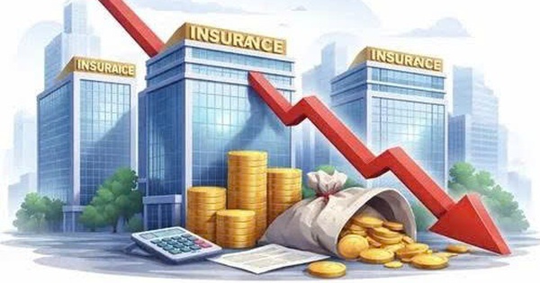 Ngành bảo hiểm năm 2025: Doanh thu và lợi nhuận tăng mạnh, đầu tư tài chính là động lực chính