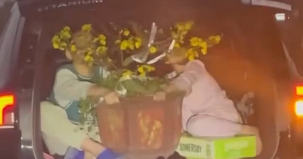 Hình ảnh khiến ai nhìn cũng phải thót tim, dân tình khó hiểu: "Bố mẹ 2 bé nghĩ gì mà làm thế này?"