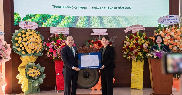 Antesco Lên Sàn HOSE Chỉ Sau Hai Tháng: Bài Học Về Sự Chuẩn Bị Bài Bản