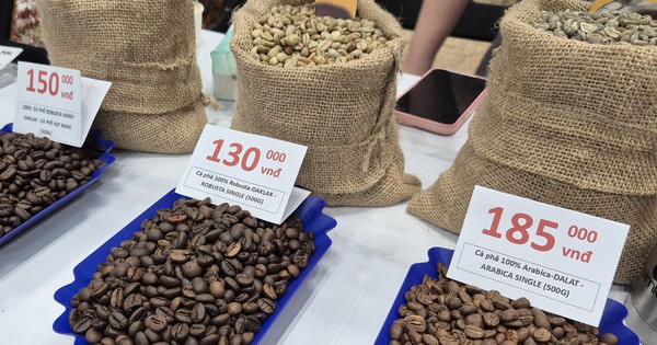 Giá cà phê hôm nay 19-2: Quay đầu đi lên
