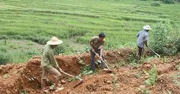 Khai hoang đất năm 2025 có được cấp sổ đỏ không? Bộ Nông nghiệp giải đáp