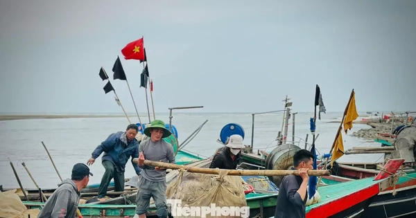Ngư dân Hà Tĩnh đón 'lộc biển' đầu năm, thu tiền triệu mỗi ngày từ hải sản tươi