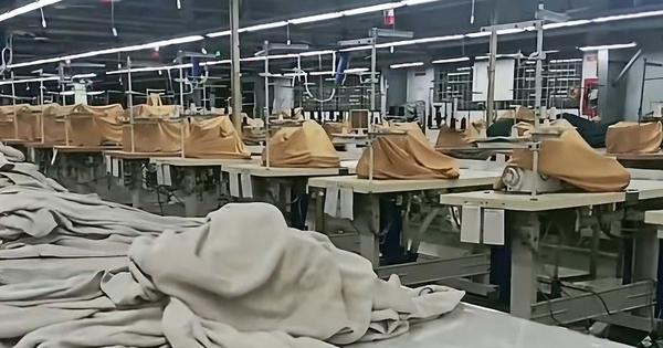 Luật mới: Doanh nghiệp khó khăn được tạm dừng đóng BHXH quỹ hưu trí, tử tuất
