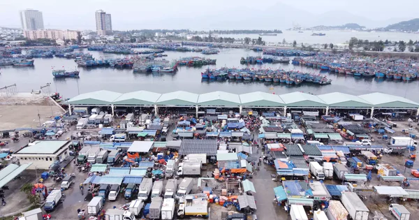 Đà Nẵng Thông Quan Quy Hoạch 2021-2030, Khẩn Trương Triển Khai 6 Dự Án Giao Thông Trọng Điểm