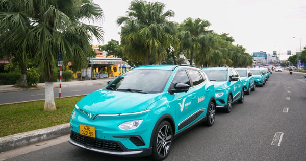 GSM Hoàn Tất Sáp Nhập Green Future, Nâng Vốn Điều Lệ Lên 43.400 Tỷ Đồng