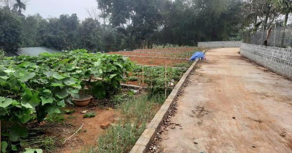 Bộ Nông nghiệp và Môi trường thiết lập đường dây nóng tiếp nhận phản ánh vi phạm đất đai