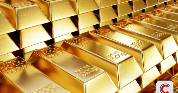 "Tôi mất trắng 21 tỷ đồng và 200 cây vàng" - Hố...