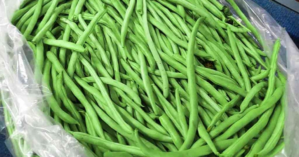 Tưởng chỉ là rau ăn kèm, ai ngờ đậu cove lại chứa lượng canxi gấp đôi đậu nành và gấp tới 7 lần thịt gà