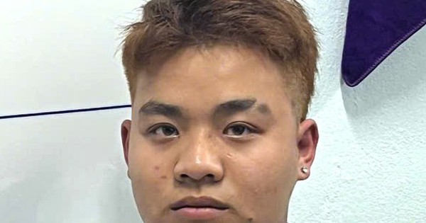 Hai đối tượng dùng vũ lực cướp túi xách của cụ bà