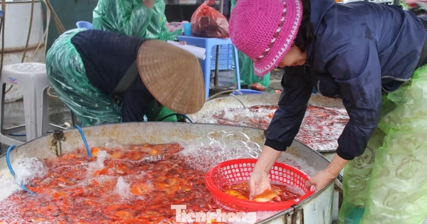 Cá chép tiễn ông Công ông Táo: Giá giảm mạnh, chợ vắng tanh
