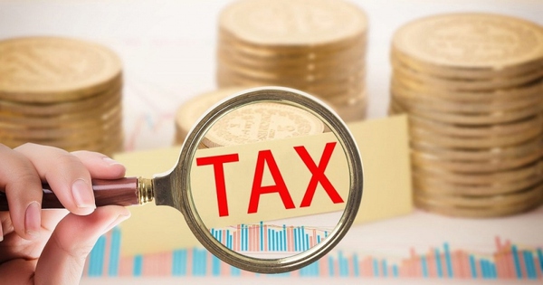 Thuế TP.HCM thu ngân sách vượt 132.800 tỷ đồng, tăng 6% so với cùng kỳ