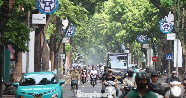Hà Nội và TP.HCM đẩy mạnh chuyển đổi taxi xanh, học hỏi kinh nghiệm quốc tế